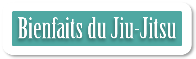 bienfaits du jiu-jitsu